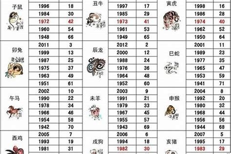 2011兔年|2011出生属什么生肖查询，2011多大年龄，2011今年几岁